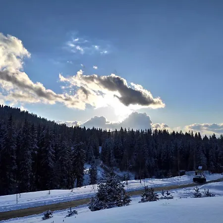 Forest Dream - Elit Apartament