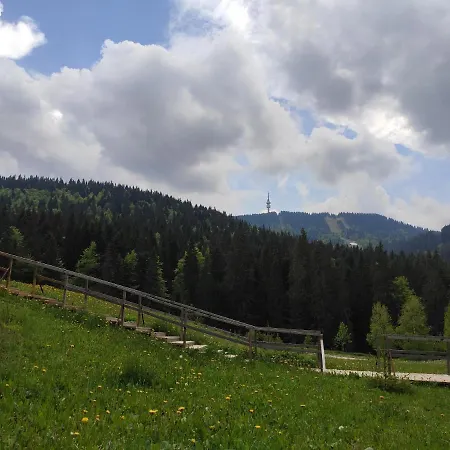 Forest Dream - Elit Apartament *