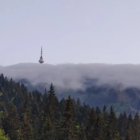 Apartament Forest Dream - Elit