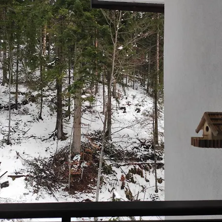 Appartamento Forest Dream - Elit *