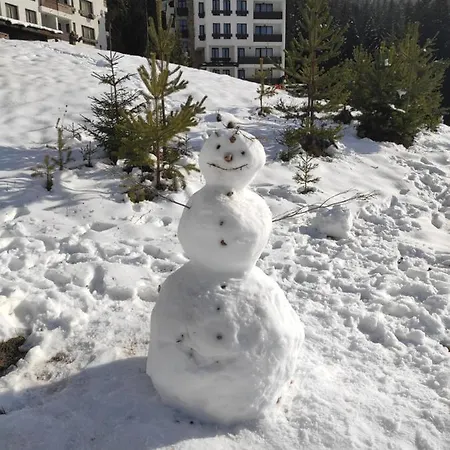 Forest Dream - Elit パンポロボ