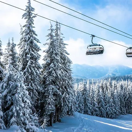 Forest Dream - Elit Apartman
