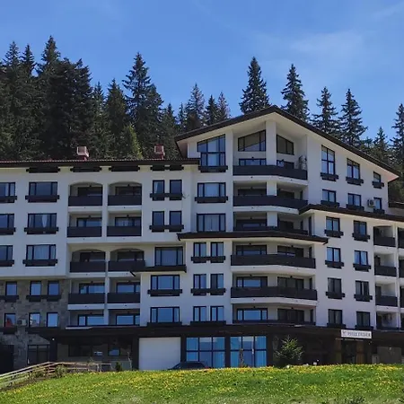 Forest Dream - Elit Apartament