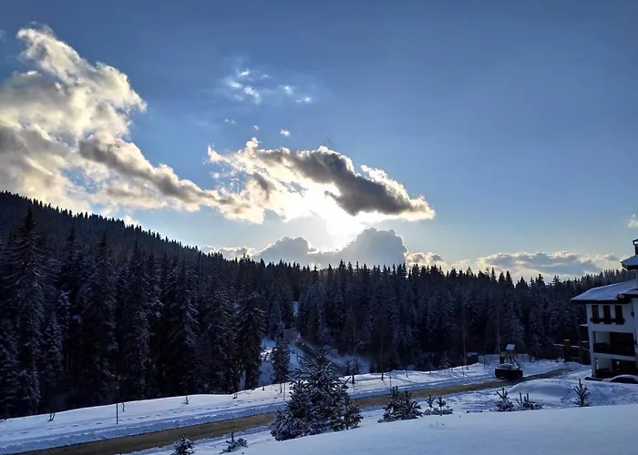 Forest Dream - Elit Appartement