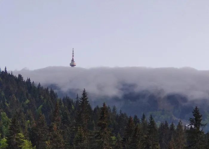 Appartement Forest Dream - Elit