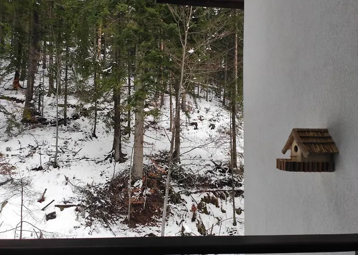 Appartement Forest Dream - Elit *