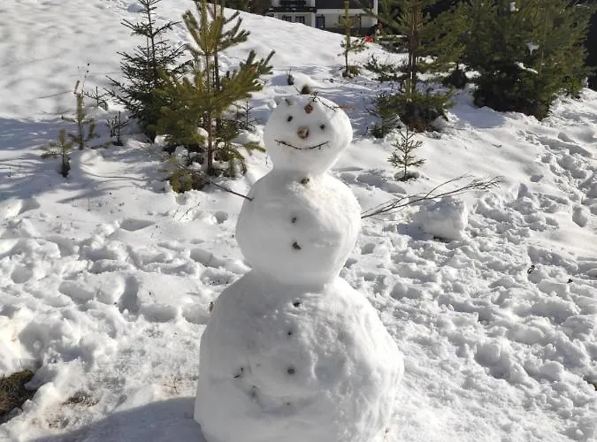 Forest Dream - Elit Pamporovo