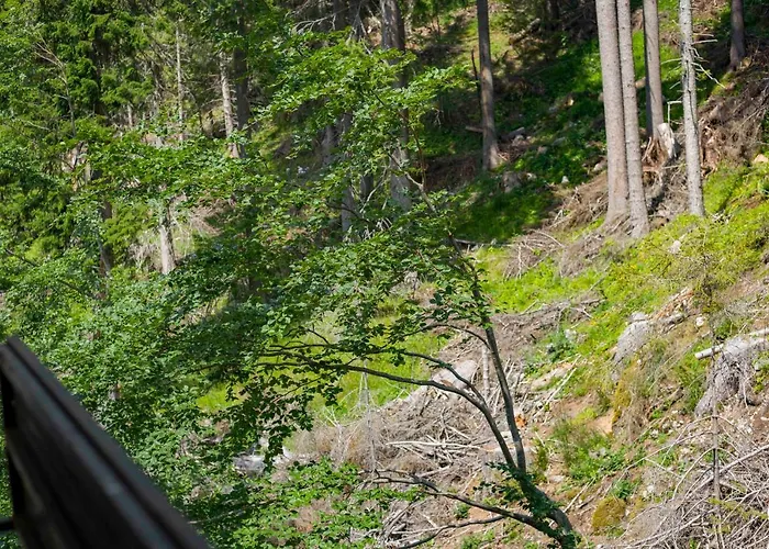 Appartement Forest Dream - Elit *