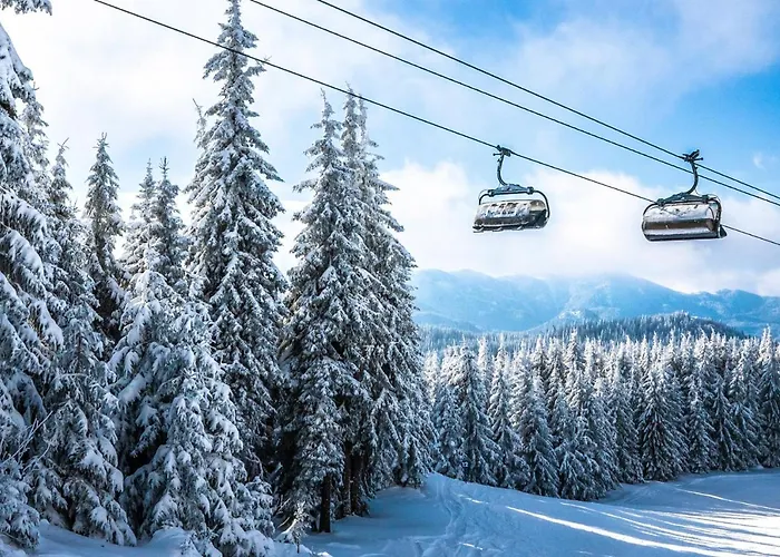 Forest Dream - Elit Daire