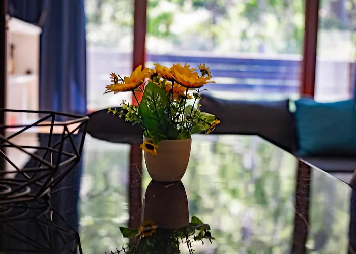 Forest Dream - Elit Daire